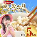 【ふるさと納税】お米 栃木県産 こしひかり 玄米 5kg 令和7年度産 |おすすめ 人気 コメ ごはん ご飯 コシヒカリ 美味しい シャリ ふっくら おにぎり ...