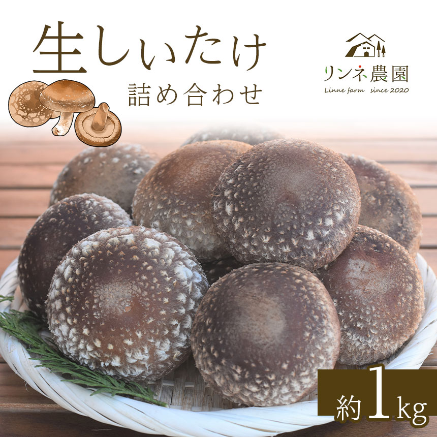 【ふるさと納税】しいたけ 生椎茸 生しいたけ詰め合わせ 約1kg