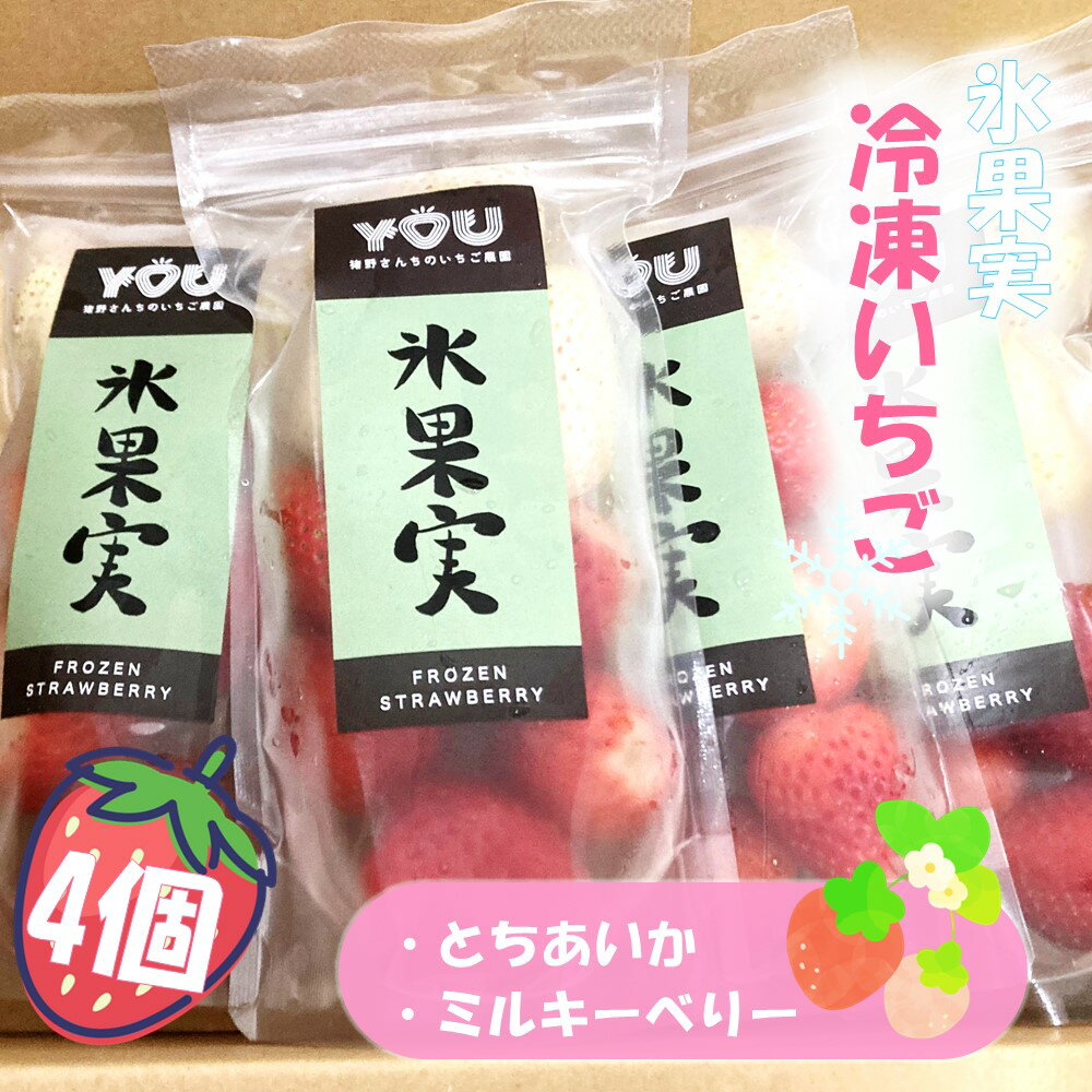 31位! 口コミ数「0件」評価「0」氷果実 ( とちあいか ・ ミルキーベリー ) 冷凍 いちご 4個 セット ｜ 苺 いちご とちあいか ミルキーベリー 冷凍いちご 特産品 ･･･ 