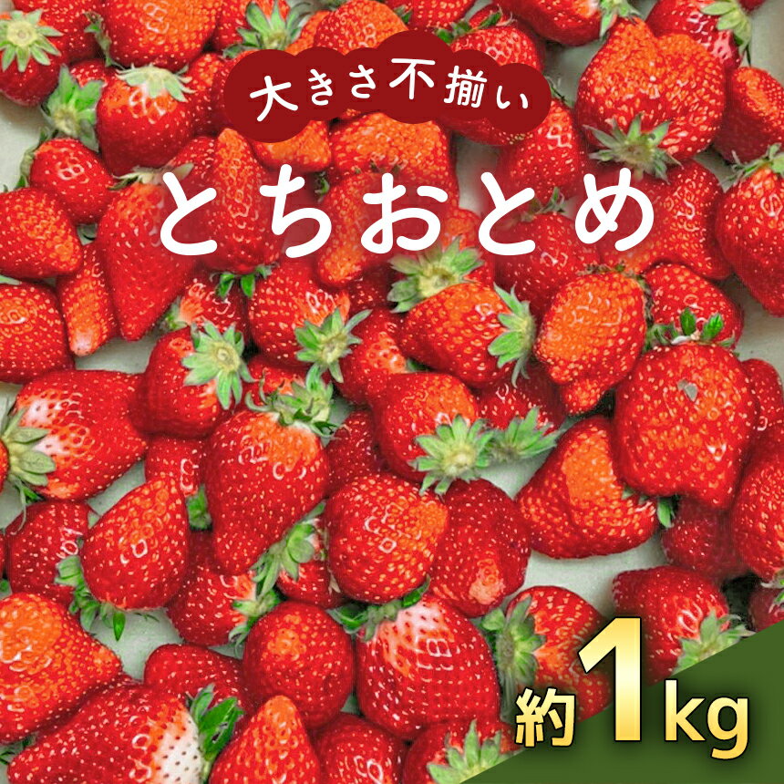 【ふるさと納税】とちおとめ(大きさ不揃い)約1kg〈期間限定〉2022年3月のみ発送|苺いちごとちおとめ特産品栃木県真岡市