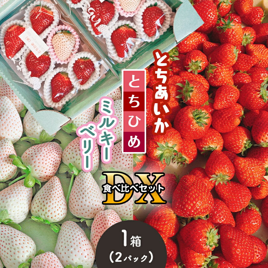 【ふるさと納税】とちあいか・とちひめ・ミルキーベリー食べ比べセット DX 〈期間限定〉1月～2月 ｜ 苺 いちご とちあいか とちひめ ミルキーベリー パック 特産品 栃木県 真岡市