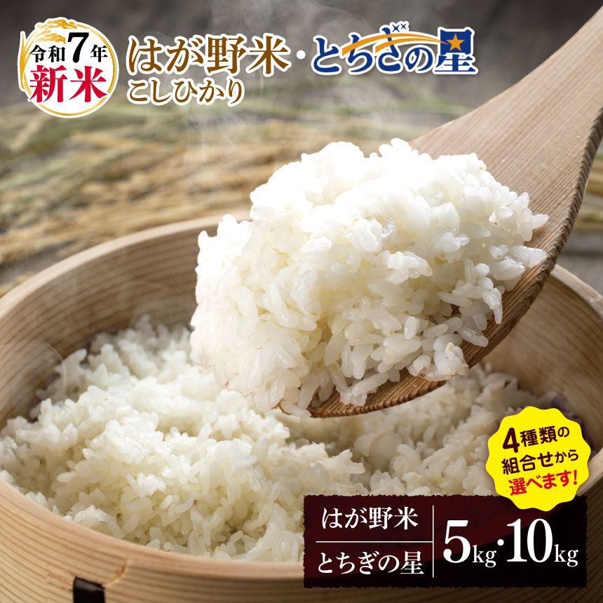 【ふるさと納税】お米 こしひかり とちぎの星 選べる 新米 白米 5kg 10kg | 2025年 令和7年 JAはが野がお届け 真岡産 コシヒカリ 白米 おに...