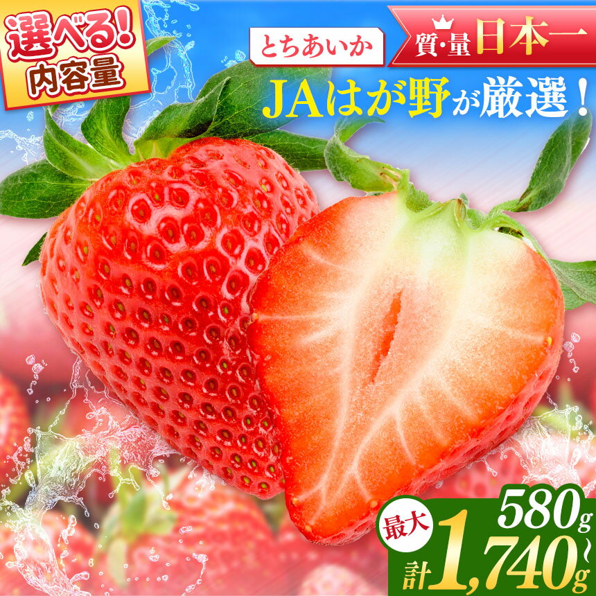 【ふるさと納税】【2026年先行予約】日本一のいちご生産量を誇るJAはが野が厳選!新鮮とちあいか | 選べる 果物 苺 いちご フルーツ 果実 果物 人気品種 イチゴ 日本一 いちご王国栃木の首都もおか 甘い ギフト プレゼント 真岡市 栃木県 送料無料