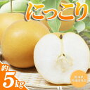 【ふるさと納税】栃木県産 なし 梨 にっこり 5kg 楽天限定 | お取り寄せ 果物 くだもの フルーツ 梨 なし プレゼント ご褒美 甘い 贈答 ナシ 栃木県...