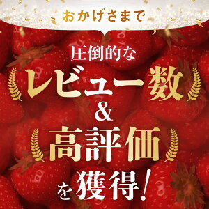 【ふるさと納税】 1位 ランキング 獲得 ! 朝摘み とちあいか 高レビュー | 選べる いちご 用途 秀品 大粒 贈答 訳あり 小粒 加工用 | 生産量 日本一 栃木県 真岡市 果物 フルーツ 苺 イチゴ 人気 数量限定 農林水産大臣賞 | 選択 1箱 450g 600g 2箱 1.2kg 3箱 1.8kg