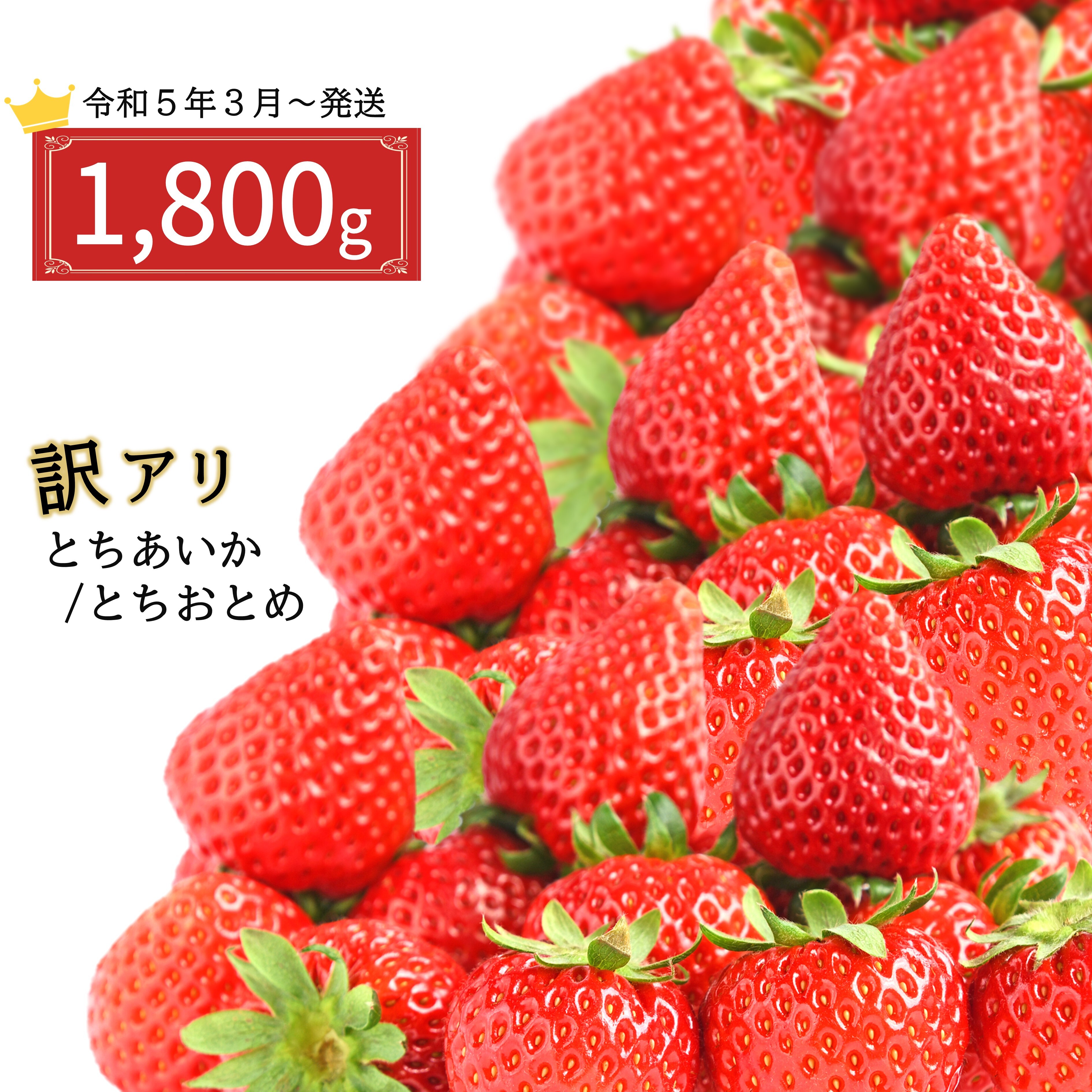 【ふるさと納税】いちご 農家応援苺 1800g 訳あり 加工 おすすめ 栃木県 真岡市 2023年3月より発送 苺 イチゴ ストロベリー 人気 とちおとめ とちあいか 栃木県産 農林水産大臣賞 受賞 いちご日本一