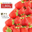 【ふるさと納税】いちご 農家応援苺 1800g 訳あり 加工 おすすめ 栃木県 真岡市 2023年3月より発送 苺 イチゴ ストロベリー 人気 とちおとめ とちあいか 栃木県産 農林水産大臣賞 受賞 いちご日本一