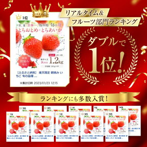 【ふるさと納税】 1位 ランキング 獲得 ! 朝摘み とちあいか 高レビュー | 選べる いちご 用途 秀品 大粒 贈答 訳あり 小粒 加工用 | 生産量 日本一 栃木県 真岡市 果物 フルーツ 苺 イチゴ 人気 数量限定 農林水産大臣賞 | 選択 1箱 450g 600g 2箱 1.2kg 3箱 1.8kg