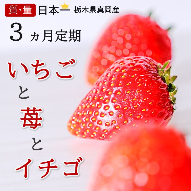 【ふるさと納税】定期便3回いちごっぱなし旬いちご1.2kg3回栃木県真岡市