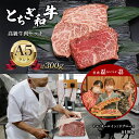 【ふるさと納税】とちぎ和牛 高級牛肉セット 2人前 A5ランク ｜ 肉 牛肉 和牛 セット 特産品 栃木県 真岡市 送料無料