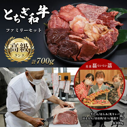 とちぎ和牛 ファミリーセット 4人前 高級ランク ｜ 肉 牛肉 和牛 ホルモン セット 特産品 栃木県 真岡市 送料無料