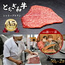 26位! 口コミ数「0件」評価「0」A5ランク とちぎ和牛 シャトーブリアン 50g × 2 ｜ 肉 牛肉 和牛 ホルモン セット 特産品 栃木県 真岡市 送料無料