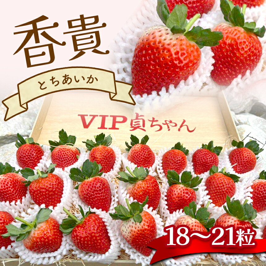 【先行予約】とちあいか 香貴 18 ～ 21粒 高級 高価 贅沢 ぜいたく 大きい ここだけ ＜ 発送期間 ： 1月 上旬 ～ 2月 中旬 ＞ | いちご 苺 イチゴ ストロベリー フルーツ 果物 名産品 栃木県 真岡市 希少品種 数量限定 期間限定 あまい 甘い