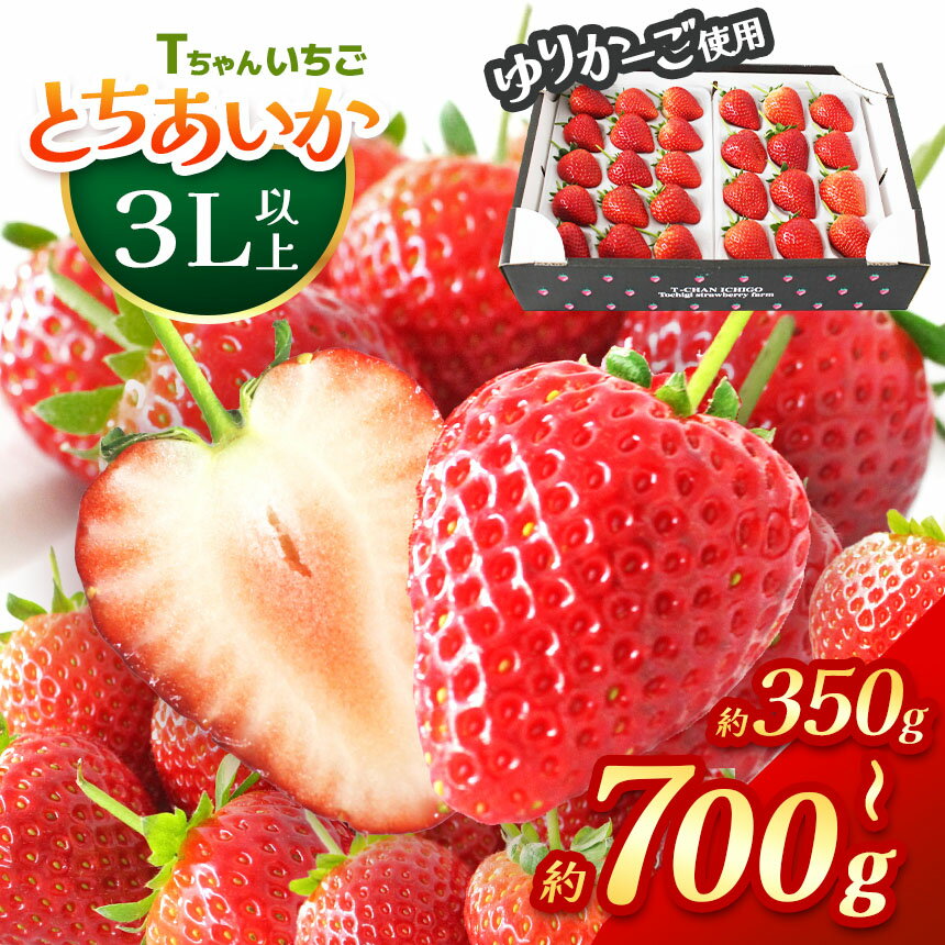 [先行予約]とちあいか3L以上ホール詰め 350g 700g [ 発送期間:1月上旬〜3月下旬 ] | いちご 苺 イチゴ ストロベリー フルーツ 果物 名産品 栃木県 真岡市