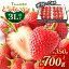 ڤդ뤵ǼǡۤȤ3Lʾۡͤ 350g 700g  ȯ֡1ܡ3      ȥ٥꡼ ե롼 ʪ ̾ ڸ 