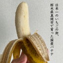 真岡市産バナナ とちおとこ 国産 1kg 7本 ～ 9本 甘い banana とちおとこ 栃木県産 ばなな 数量限定