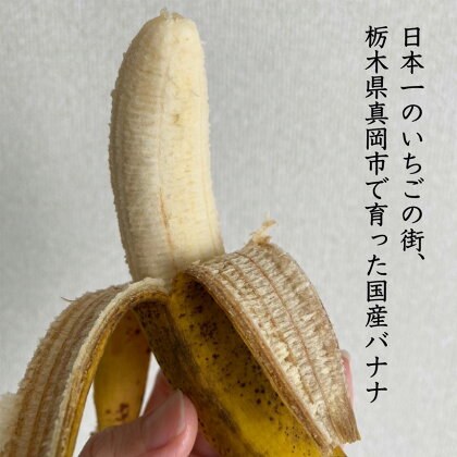 真岡市産バナナ とちおとこ 国産 1kg 7本 ～ 9本 甘い banana とちおとこ 栃木県産 ばなな 数量限定