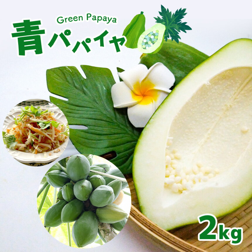 【ふるさと納税】【2024年先行予約】 パパイヤ 青パパイヤ 野菜 健康野菜 2kg 真岡市産 国産 数量限定 特産品 栃木県 真岡市 人気 お試し