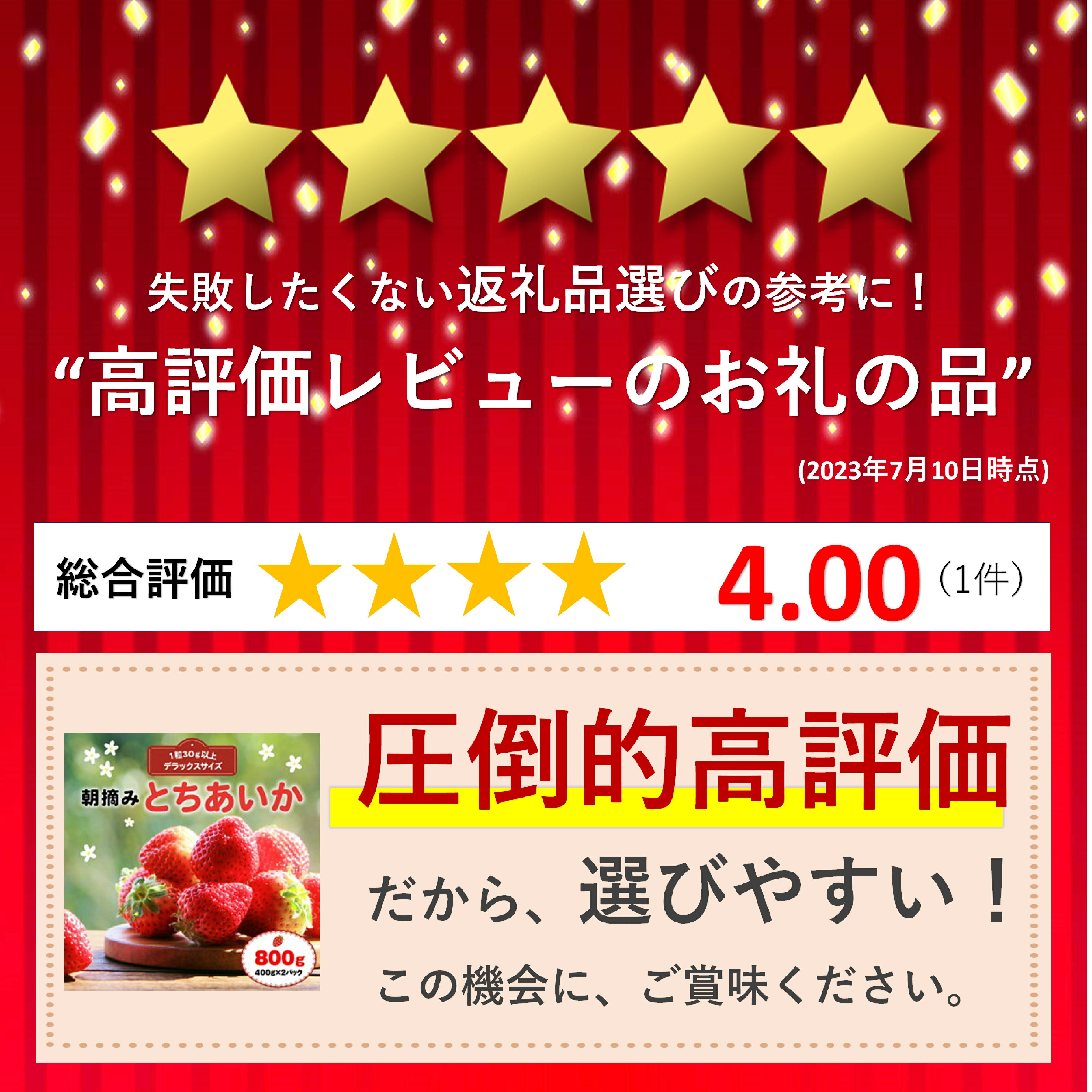 【ふるさと納税】 朝摘み とちあいか いちご 800g (400g × 2) 1月 2月 3月 発送 もぎたて 苺 イチゴ ストロベリー 人気 イチゴ 旬 朝摘み 新鮮 送料無料