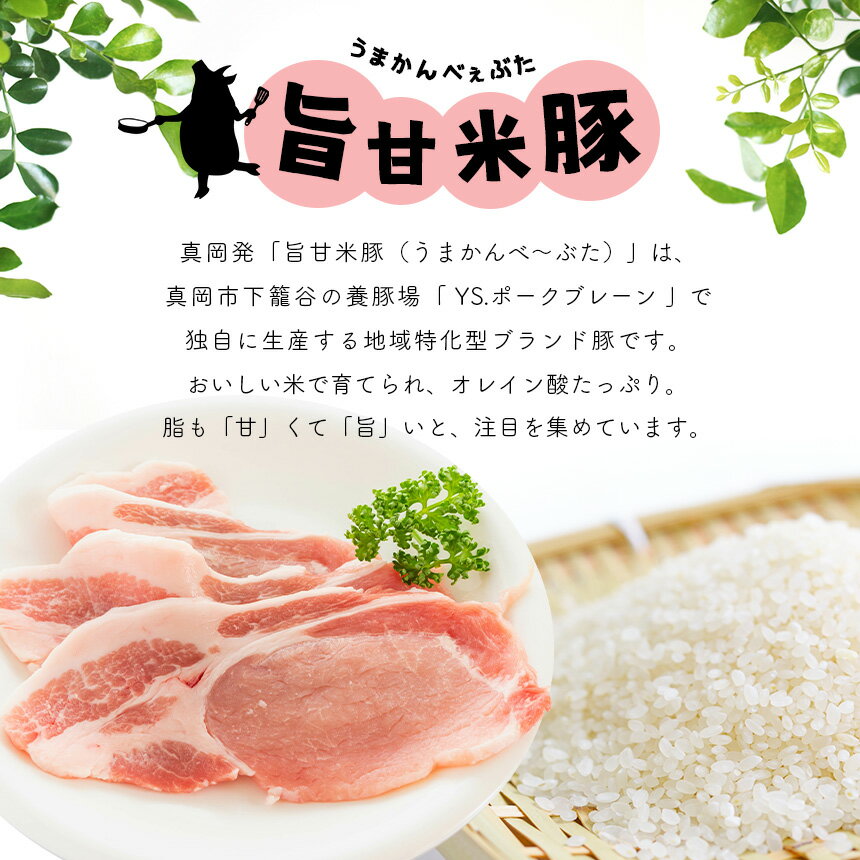 【ふるさと納税】旨甘米豚 ブランド お 惣菜 セット ( チャーシュー 300g × 1P ハンバーグ 5枚入り × 1P 肉団子8個入 × 1P ・ ステーキ たれ 1本 ) 豚肉 お米 簡単 便利 人気 大容量 ボリューム ここだけ 美味い 旨い ごはん おつまみ 特産品 栃木県 真岡市 送料無料 3