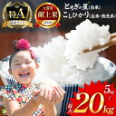 【ふるさと納税】とちぎの星(白米) & コシヒカリ(白米 or 無洗米) 5〜20kg | お米 米 こめ おにぎり ごはん ご飯 白米 無洗米 5kg 10k...