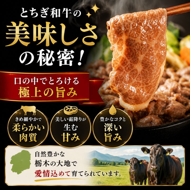 【ふるさと納税】牛肉 定期便 栃木県産 黒毛和牛 とちぎ和牛 厳選部位 選べる [ロース スライス 切り落とし] 250g 500g 810g ｜ A4 A5ランク 和牛 牛肉 肉 しゃぶしゃぶ すき焼き 牛しゃぶ ギフト 贈答 お取り寄せ グルメ 栃木県 真岡市 送料無料 栃木県共通返礼品(栃木県産)