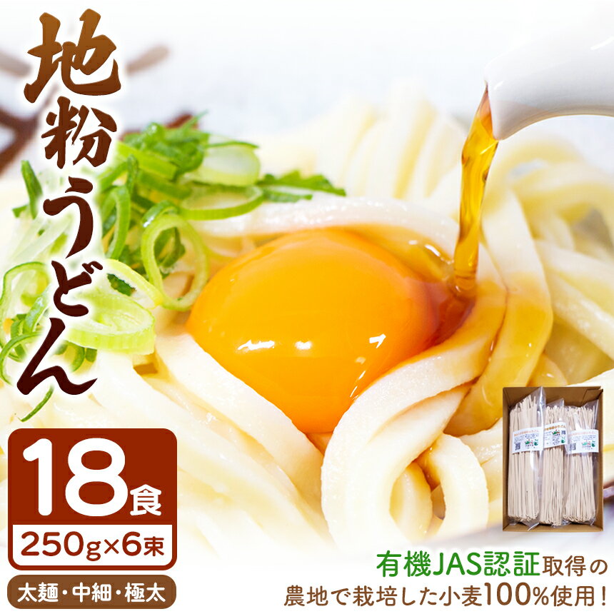 【ふるさと納税】地粉うどんセット 有機JAS認証取得の農地で栽培した小麦100％18食分 ｜有機 栽培 地粉 うどん オーガニック 太麺 中細 極細 パスタ 干しうどん250g6束セット 国産 真岡市 栃木…