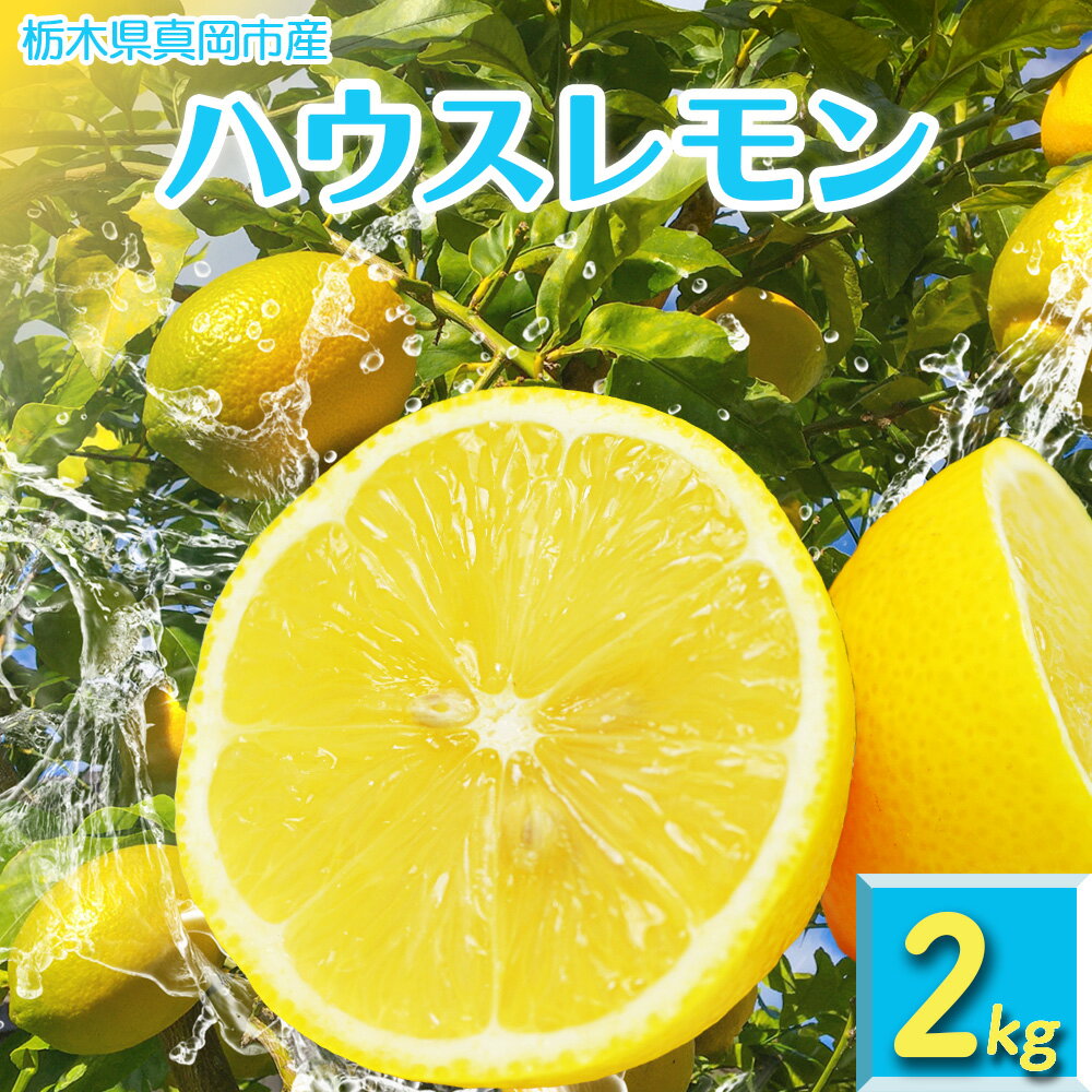 真岡市産 ハウス レモン 2kg |れもん グリーン 酸味 香り 強い イエロー 糖度 高い 果汁 ノーワックス 防腐剤 防カビ剤 不使用 皮ごと 国産 真岡市 栃木県 限定 送料無料