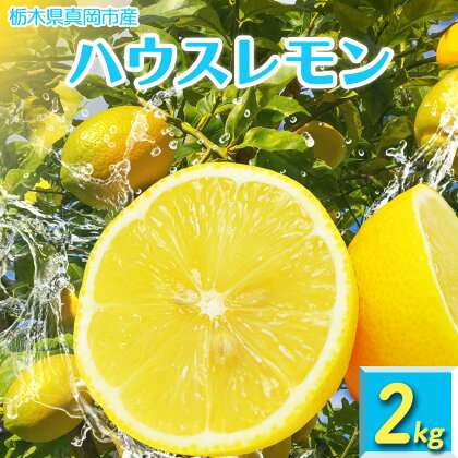 真岡市産 ハウス レモン 2kg ｜れもん グリーン 酸味 香り 強い イエロー 糖度 高い 果汁 ノーワックス 防腐剤 防カビ剤 不使用 皮ごと 国産 真岡市 栃木県 限定 送料無料