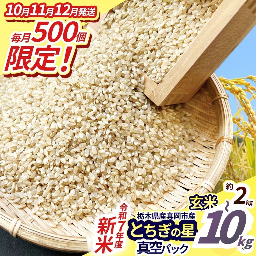 【ふるさと納税】 新米 訳あり お米 こめ コメ 米 玄米 数量 限定 令和7年度 とちぎの星 真空パック 2kg 4kg 直送 | 年内発送 12月 先行予約...