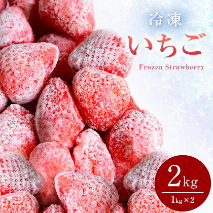 朝採れ 鮮度 抜群 ！ 甘く 熟した 完熟 いちご 冷凍 いちご | とちあいか いちご 苺 イチゴ ストロベリー 美味しい 果汁 甘い あまい たっぷり スムージー アイス カクテル ジャム こだわった 減農薬 有機肥料 | 人気 栃木県 真岡市 旬 送料無料| 2000g