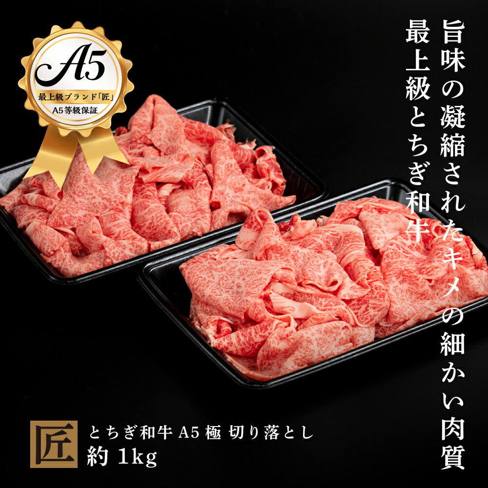 【ふるさと納税】とちぎ和牛 A5 切り落とし 約 1kg | 国産 和牛 牛 肉 生産者 認定 銘柄 A5 旨味 うまみ きめ細かい 品質 柔らかく 芸術品 特産品 栃木県 真岡市 送料無料 栃木県共通返礼品
