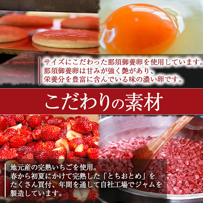 【ふるさと納税】 生どら焼き 真岡産とちあいか2倍 10個入 ｜ 栃木県 真岡市 送料無料