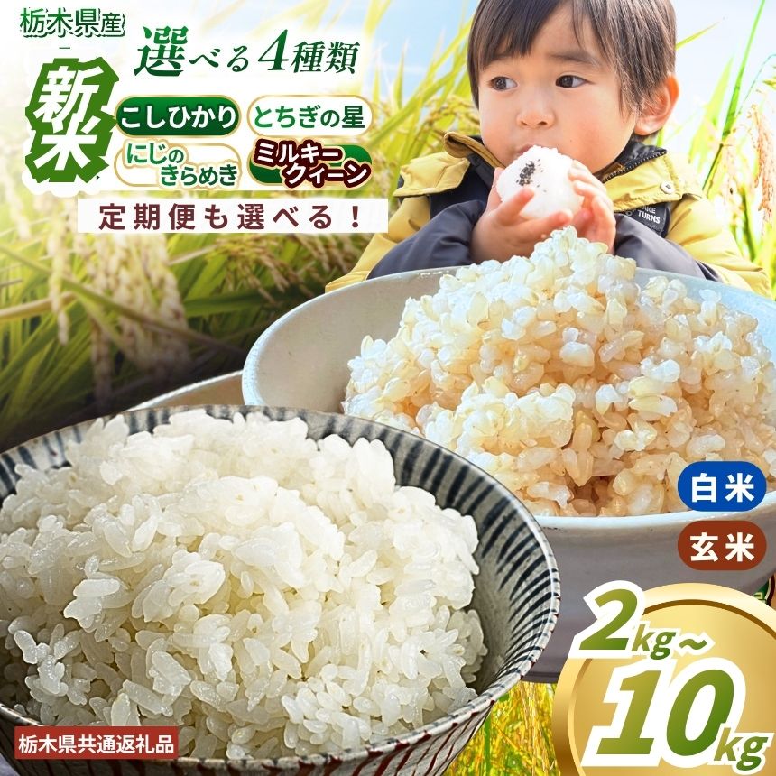 【ふるさと納税】 お米 白米 玄米 限定 選べる 品種 容量 回数 訳あり | 米 こめ コメ コシヒカリ とちぎの星 にじのきらめき ミルキークイーン 先行予...