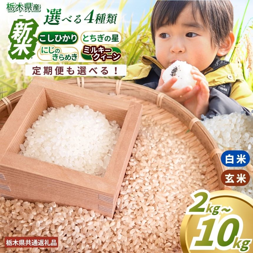 【ふるさと納税】 訳あり 限定 選べる 定期便 お米 白米 玄米 こしひかり | 米 こめ コメ コシヒカリ とちぎの星 にじのきらめき ミル..