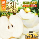 【ふるさと納税】【2025年先行予約】 栃木産 幸水 or 豊水 or にっこり or 食べ比べ3回定期便 約5kg | 梨 なし 大きい フルーツ デザート 果汁 ジューシー 甘い 高糖度 柔らか 果肉 旬 品種 果物 くだもの 栃木県 送料無料