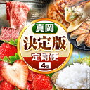 【ふるさと納税】真岡の 魅力 満載 定期便4回 | いちご 餃子 とちぎ和牛 お米 白米 米 苺 イチゴ ストロベリー たじまや サーロイン グルメ セット 定...
