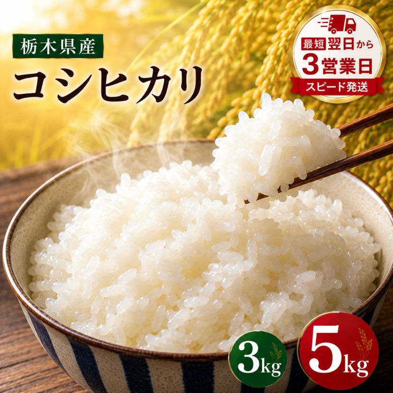 【ふるさと納税】＼家計応援キャンペーン8/9迄／選べるグラム数 コシヒカリ 米 3kg 5kg 送料無料 | 令和7年産 お米 こめ コメ 白米 ブランド米 高級 コシヒカリ系 大粒 粘り 甘み ごはん 惣菜 備蓄 数量限定 先行予約 栃木県 真岡市