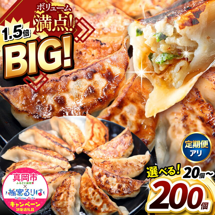楽天栃木県真岡市【ふるさと納税】定期便 年内発送 たじまや オリジナル ビッグ 餃子 ぎょうざ | TAJIMAYA 田島 タジマヤ 大きい BIG 売れ筋 人気 好評 リピート 旨味 もっちり ジューシーお肉 冷凍食品 中華 栃木県 真岡市 送料無料（クラウドファンディング事業）