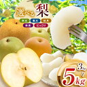 【ふるさと納税】栃木県産 なし 梨 幸水 豊水 秋月 新高 にっこり 品種 選べる 楽天限定 | お取り寄せ 果物 くだもの フルーツ 梨 なし プレゼント ご褒美 甘い 贈答 秋 大きい 高評価 ナシ 8月 9月 10月 栃木県 真岡市 送料無料 栃木県共通返礼品