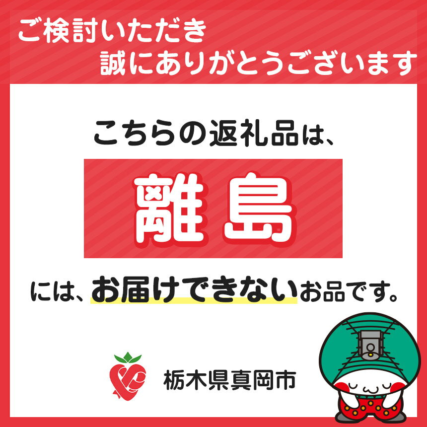 【ふるさと納税】 シリカ水素水 ルルドの恵み1箱　耐圧PETボトル(500mL) 1本付き｜高濃度 水素水 健康 生き生き 簡単 環境 耐圧 アミノ酸 環境 菌 栃木県 真岡市 送料無料