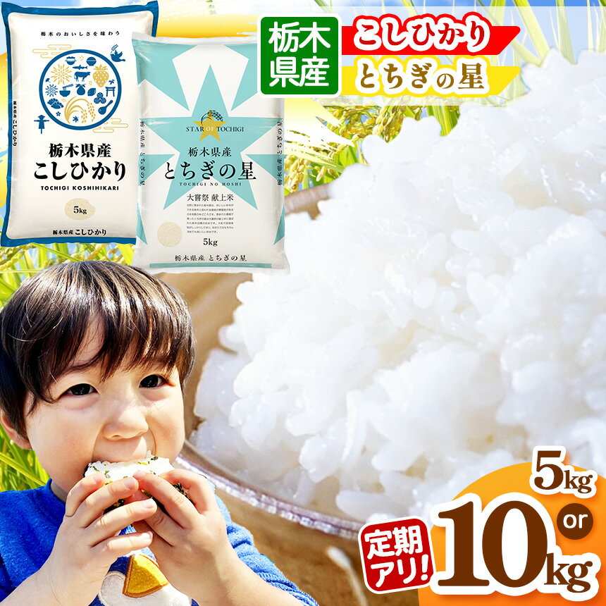 【ふるさと納税】 選べる 定期便 米 お米 こめ コメ こしひかり コシヒカリ とちぎの星 1回 3回 5kg 10kg | 白米 ごはん ご飯 人気 お..