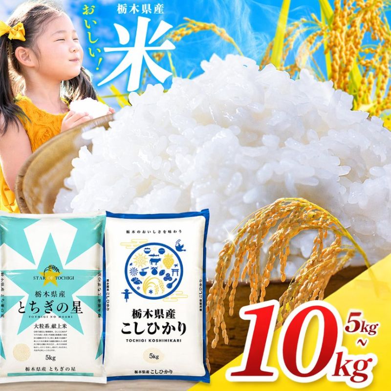 【ふるさと納税】米 お米 コシヒカリ とちぎの星 選べる 5kg 10kg 最短2営業日発送 送料無料 | こしひかり 栃木の星 白米 精米 令和7年産 訳あり じゃない 保存食 お弁当 おにぎり カレー 丼 大粒 コメ ごはん ご飯 ライス 栃木県 真岡市
