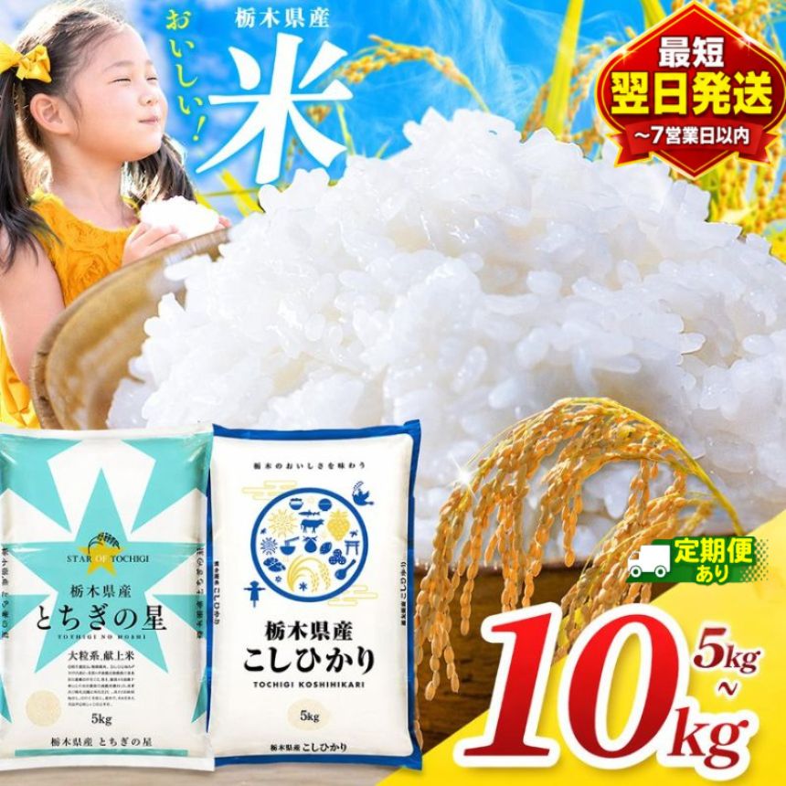 ＼最短翌日配送/米 お米 コシヒカリ とちぎの星 選べる 5kg 10kg 最短2営業日発送 送料無料 | こしひかり 栃木の星 白米 精米 令和7年産 訳あり じゃない 保存食 飯 ライス 栃木県 真岡市