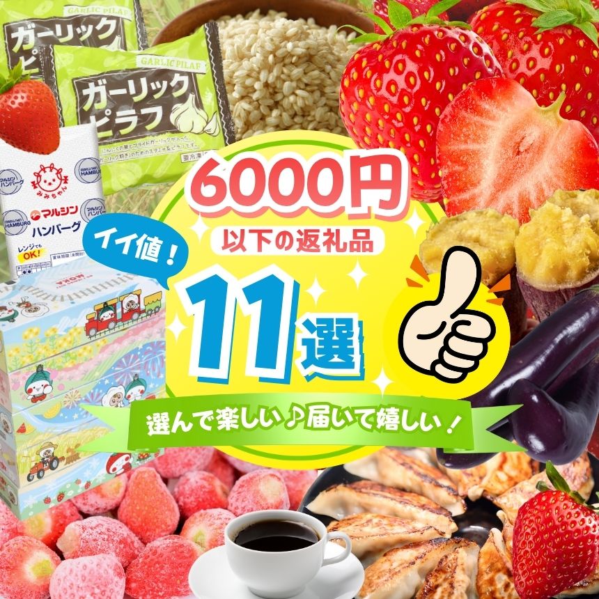 【ふるさと納税】6000円 以下 真岡市 人気 返礼品 ベスト 11 | とちあいか いちご 餃子 お米 総菜 ハンバーグ ティッシュ 4000 円 4千円 5...