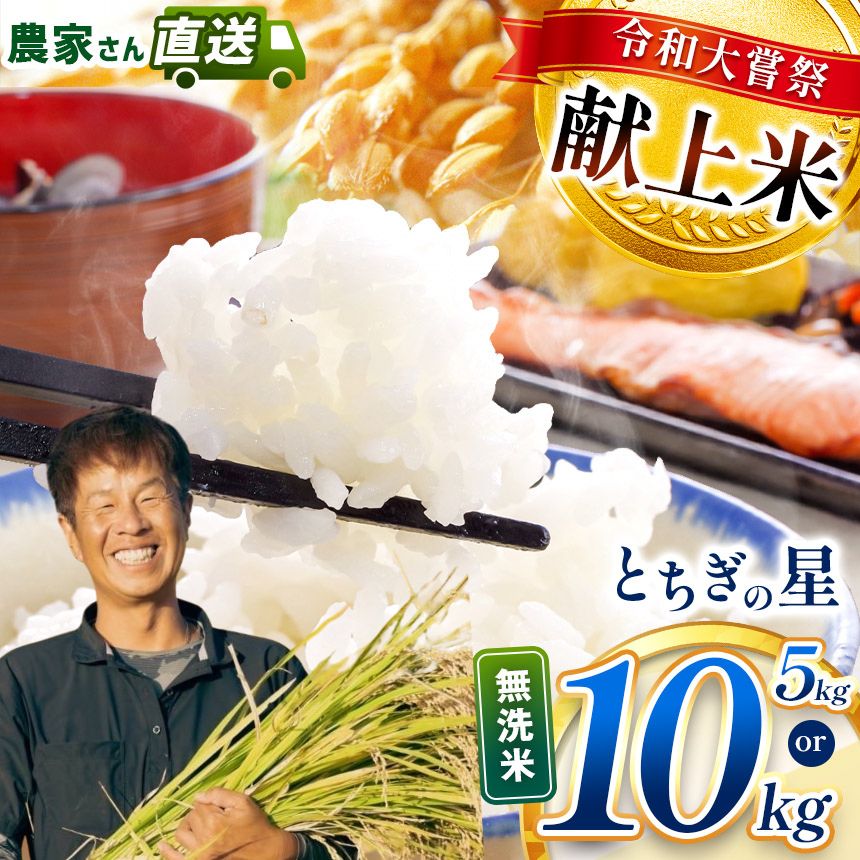 【ふるさと納税】 限定 お米 無洗米 米 こめ コメ とちぎの星 5kg 10kg 定期便 3回 令和 大嘗祭 献上米 | 令和7年度 収穫 2025年 秋 米 白米 精米 食べ比べ 先行予約 ご飯 おいしい こしひかり コシヒカリ 栃木県 真岡市 送料無料