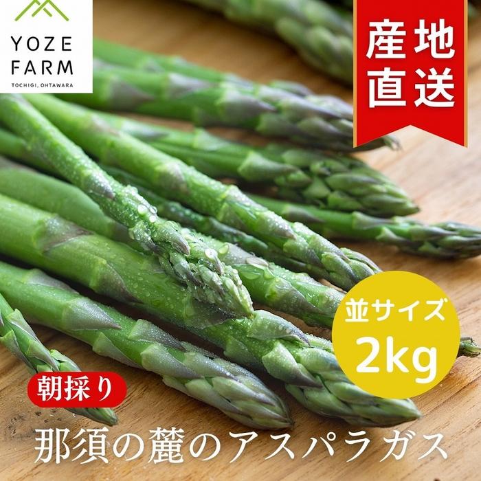 【ふるさと納税】【4月発送】那須の麓の朝採りアスパラガス　並サイズ　2kg | 野菜 やさい 食品 人気 おすすめ 送料無料