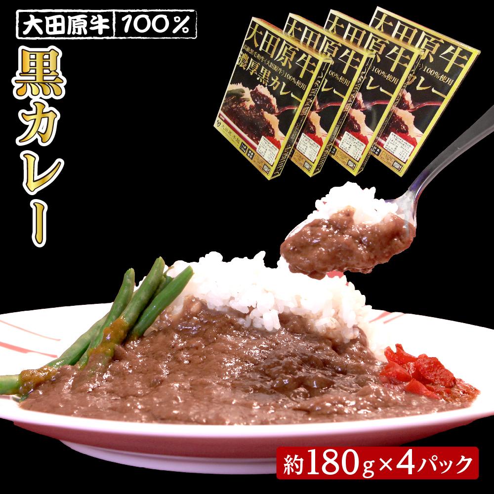 4位! 口コミ数「0件」評価「0」大田原牛 100％ 黒カレー 4パックセット | レトルト カレー 和牛 牛肉 ビーフカレー 高級 | 食品 加工食品 人気 おすすめ 送料･･･ 