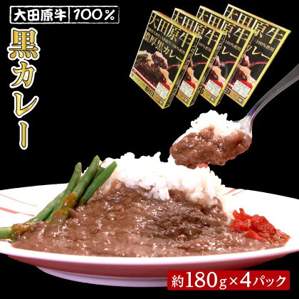 大田原牛 100％ 黒カレー 4パックセット | レトルト カレー 和牛 牛肉 ビーフカレー 高級 | 食品 加工食品 人気 おすすめ 送料無料