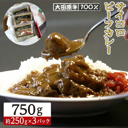 大田原牛 100％ サイコロ ビーフカレー 3パックセット | レトルト カレー 和牛 牛肉 ビーフカレー 高級 | 食品 加工食品 人気 おすすめ 送料無料